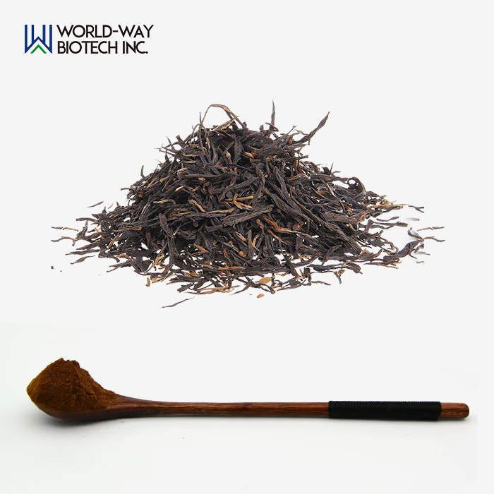 Black Tea Extract Powder Black Tea Extract Powder